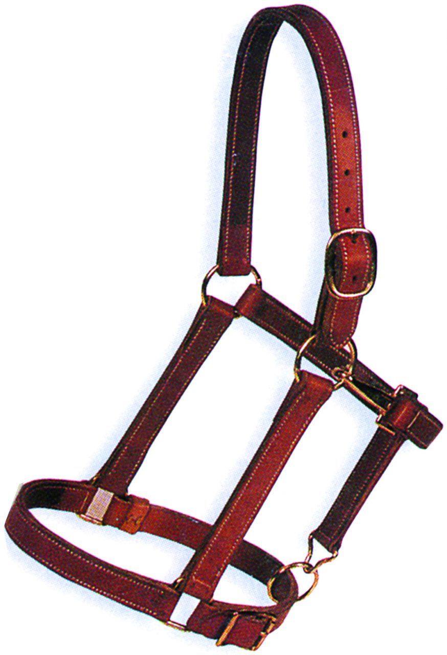 1 1/4″ Leather Draft Halter Hillside Harness, Ltd.