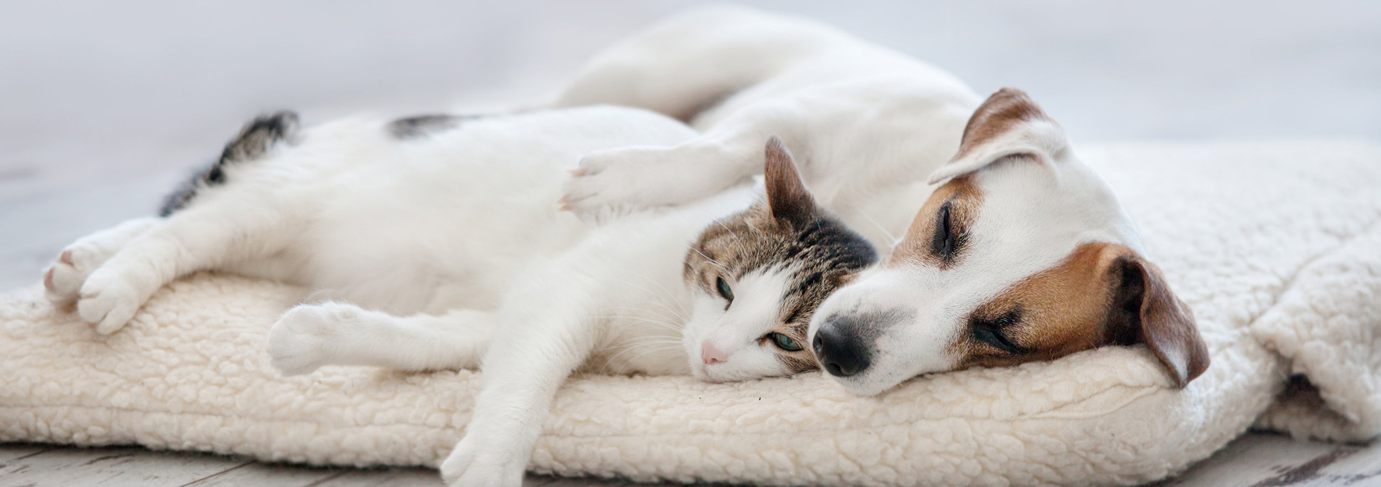 Hillside Pet Crematory