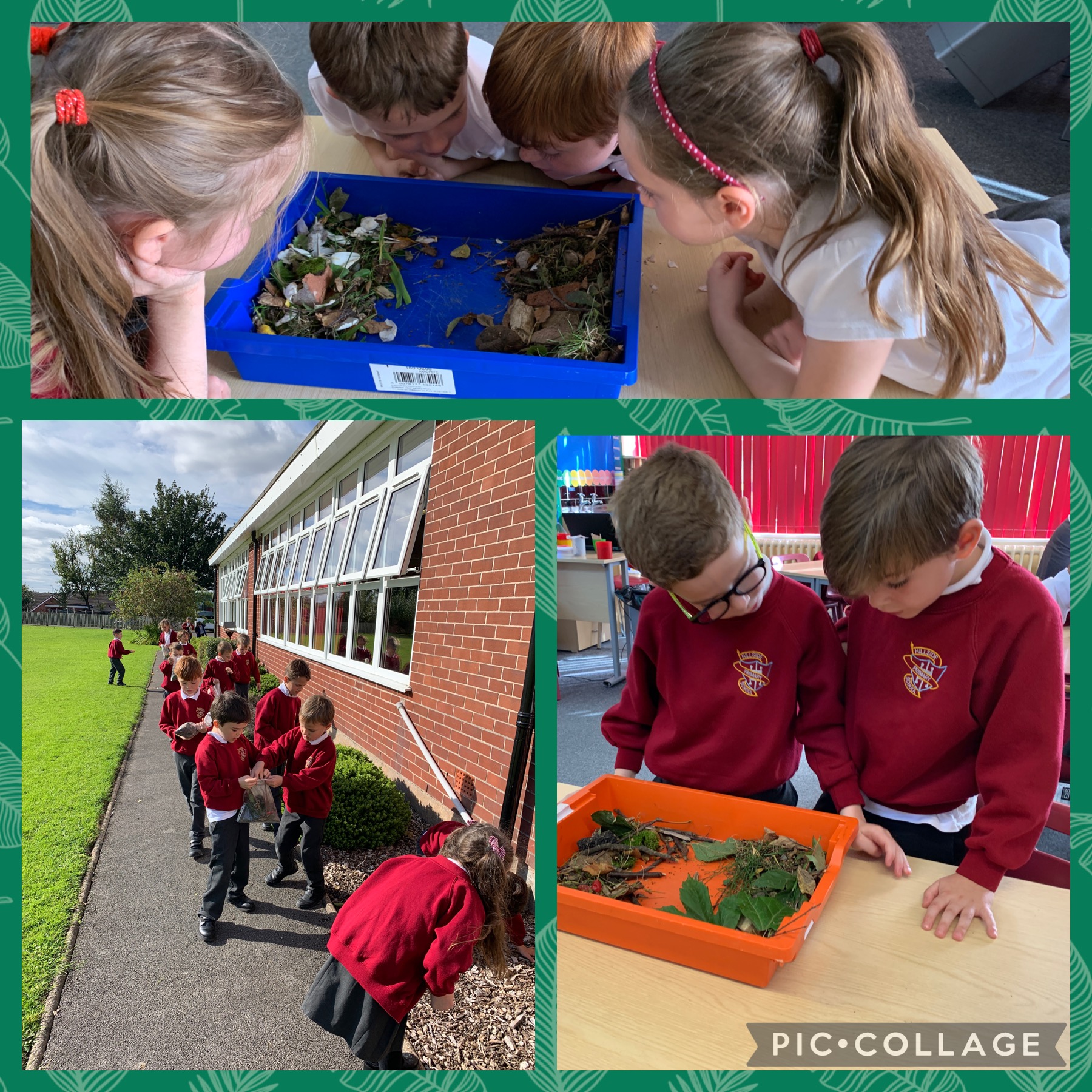 Micro habitats in Year Two Hillside Primary School Baddeley Green