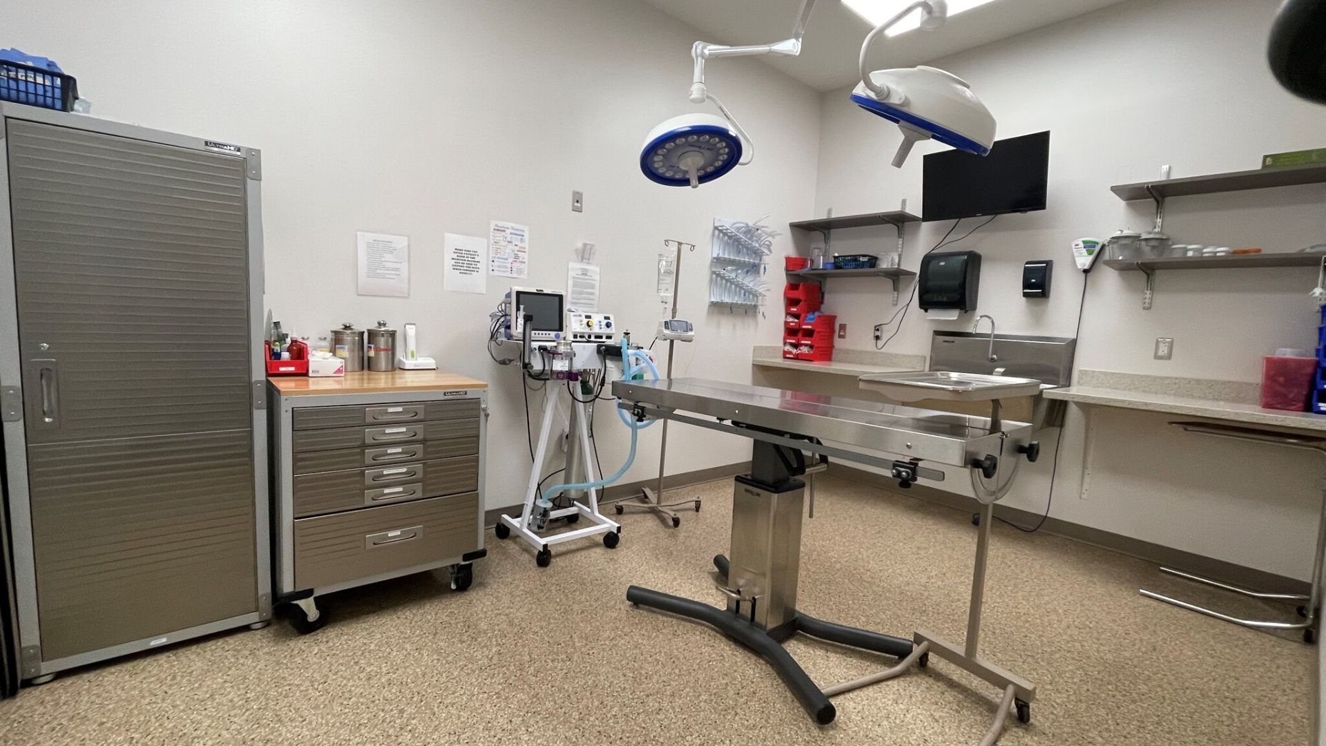 Hillside Veterinary Associates Tour Vet Clinic In Covington, LA