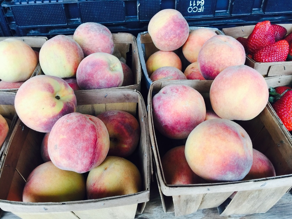 Area Attractions The Hills of Shady Grove