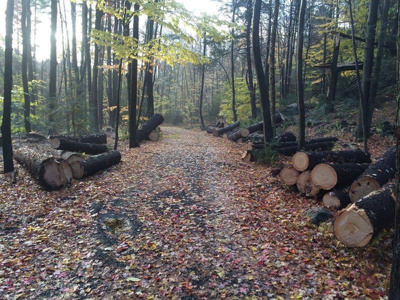 Full Circle Barn and Wildflower Meadow Hilltown Tree & Garden