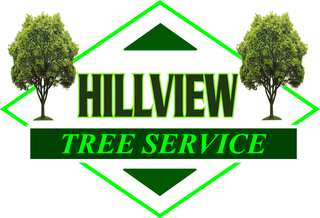 Best Tree Cutting & Removal Company in Bristol, CT