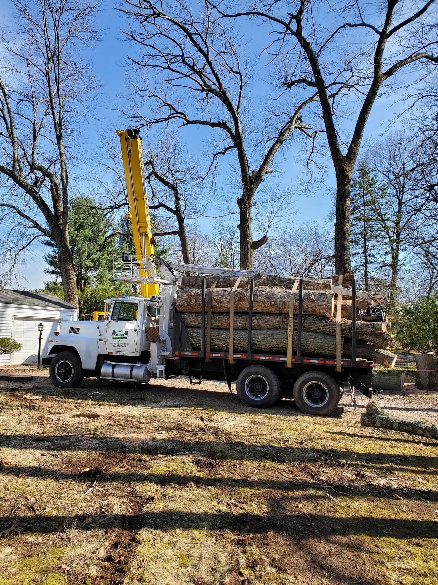 Watertown, CT Tree Removal Company Best Tree Removal Service Near