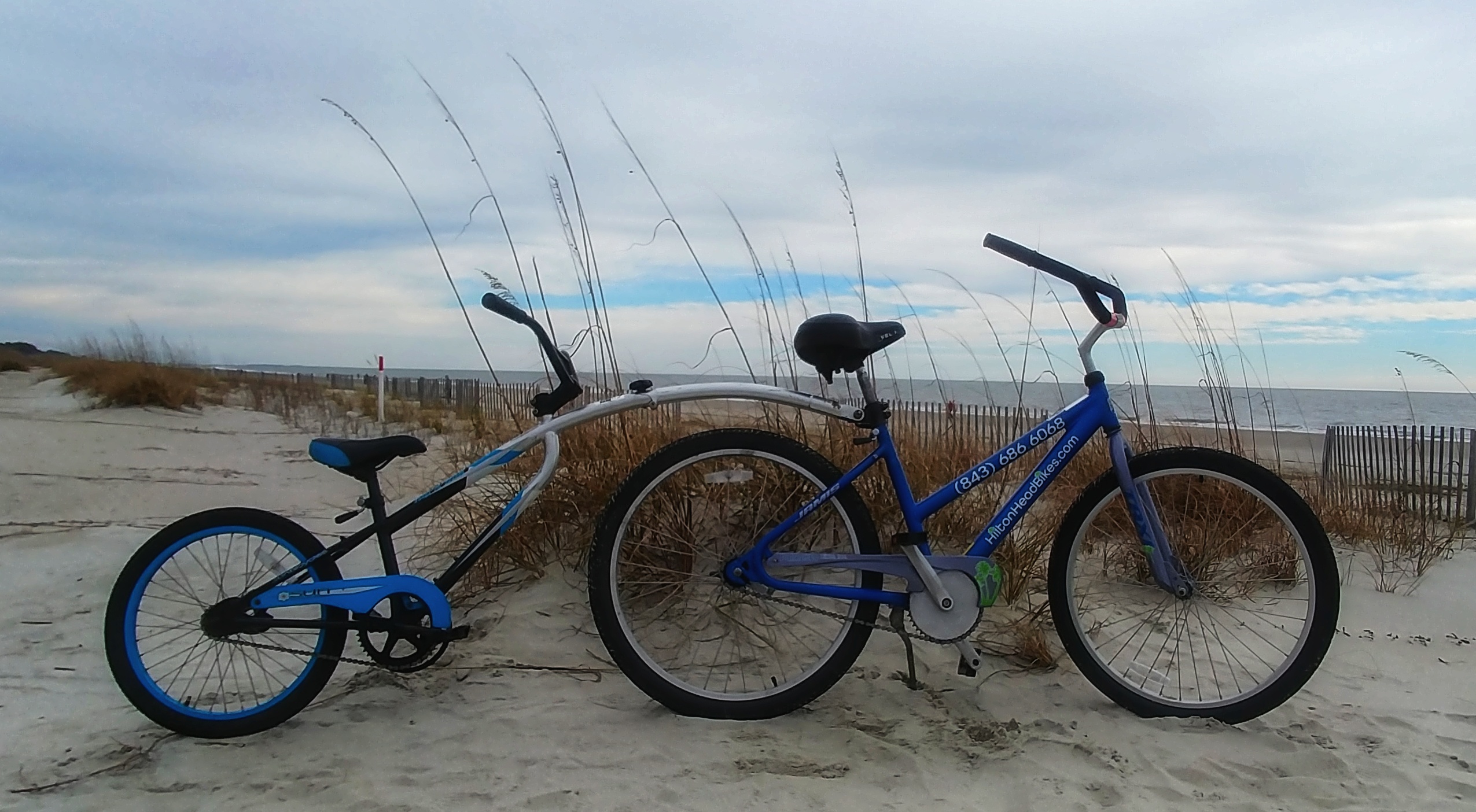 Louisvuittonm40578 Beach Wagon Rental Hilton Head