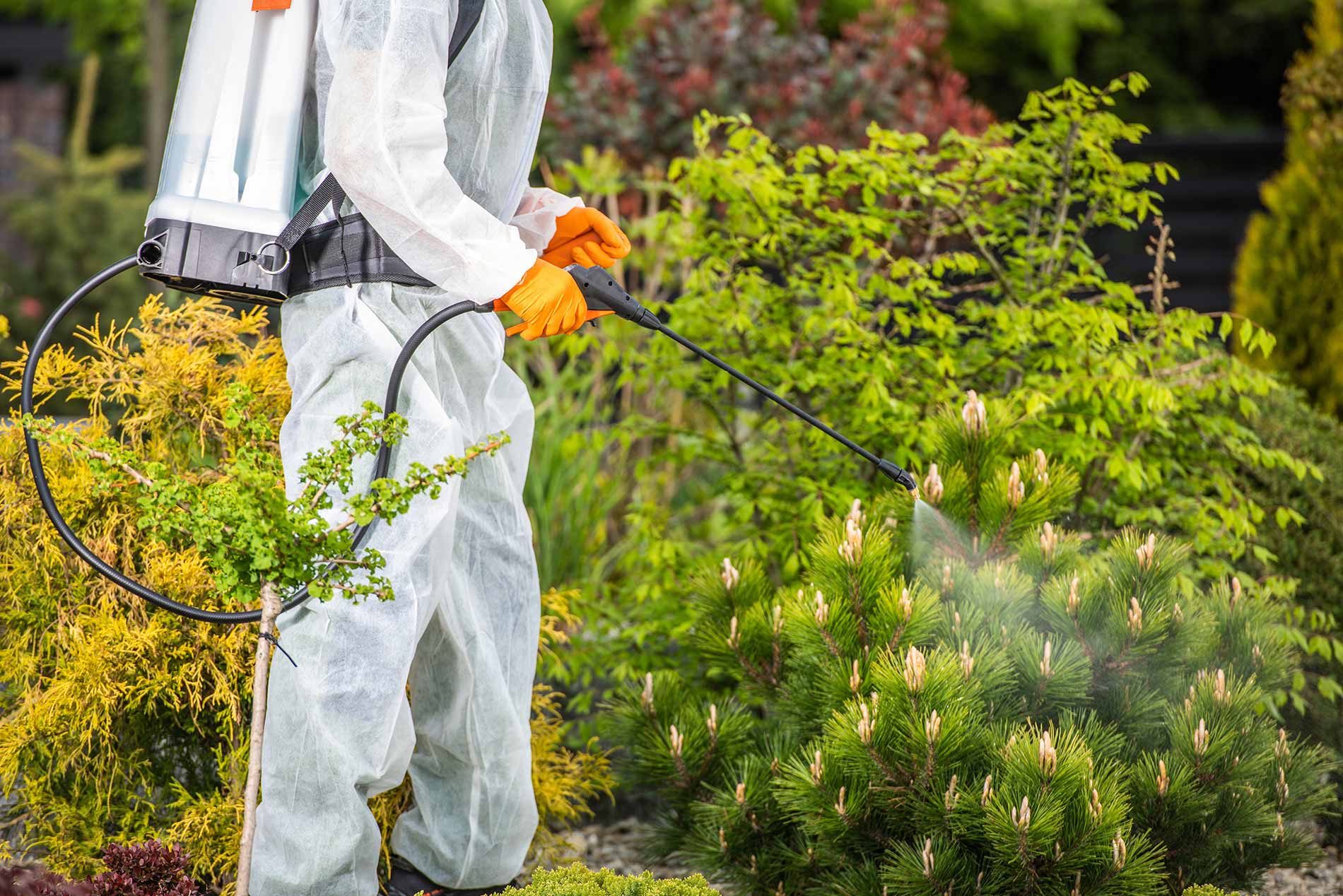 Pest Extermination Services in Navarre, FL Pest Control