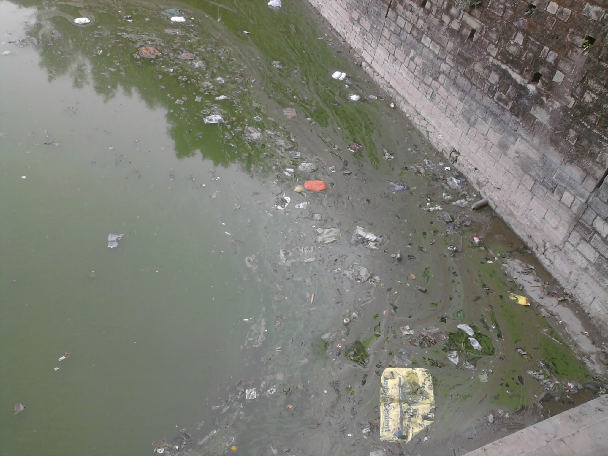 Is Plastic Actually Banned in Himachal Pradesh? Himachal Watcher