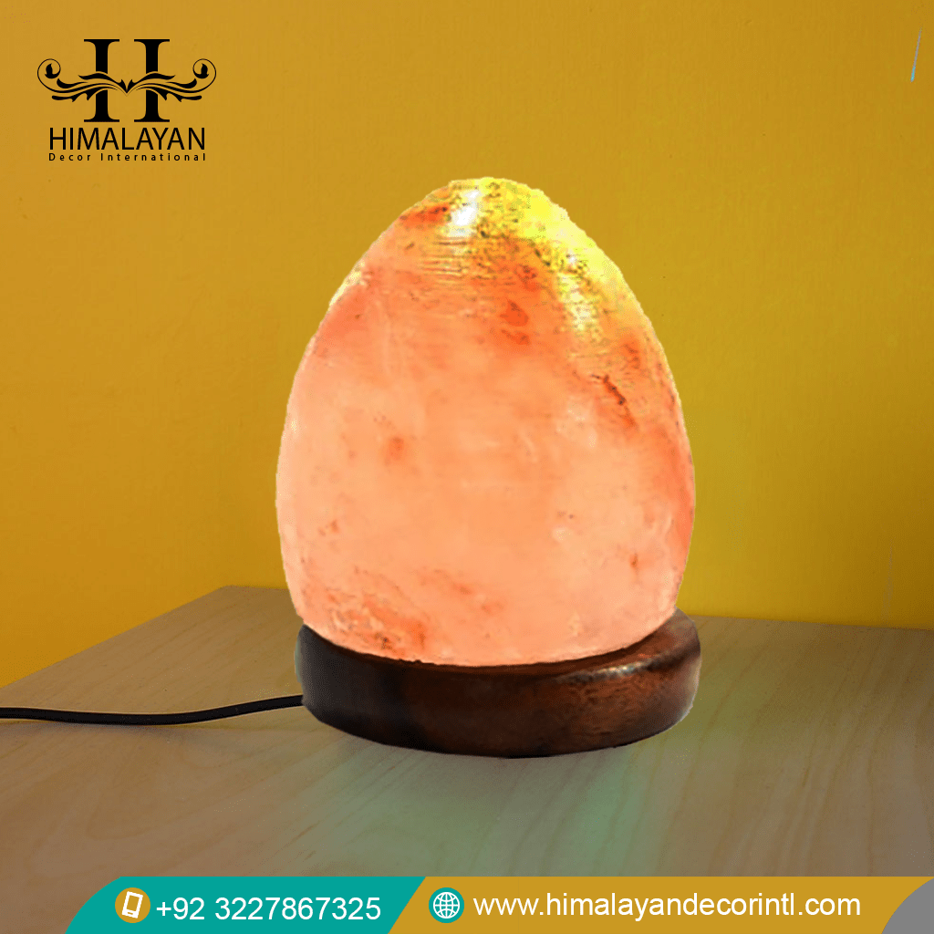 Himalayan Egg Shape USB Salt Lamp, MultiColor LED Bulb & Accessories