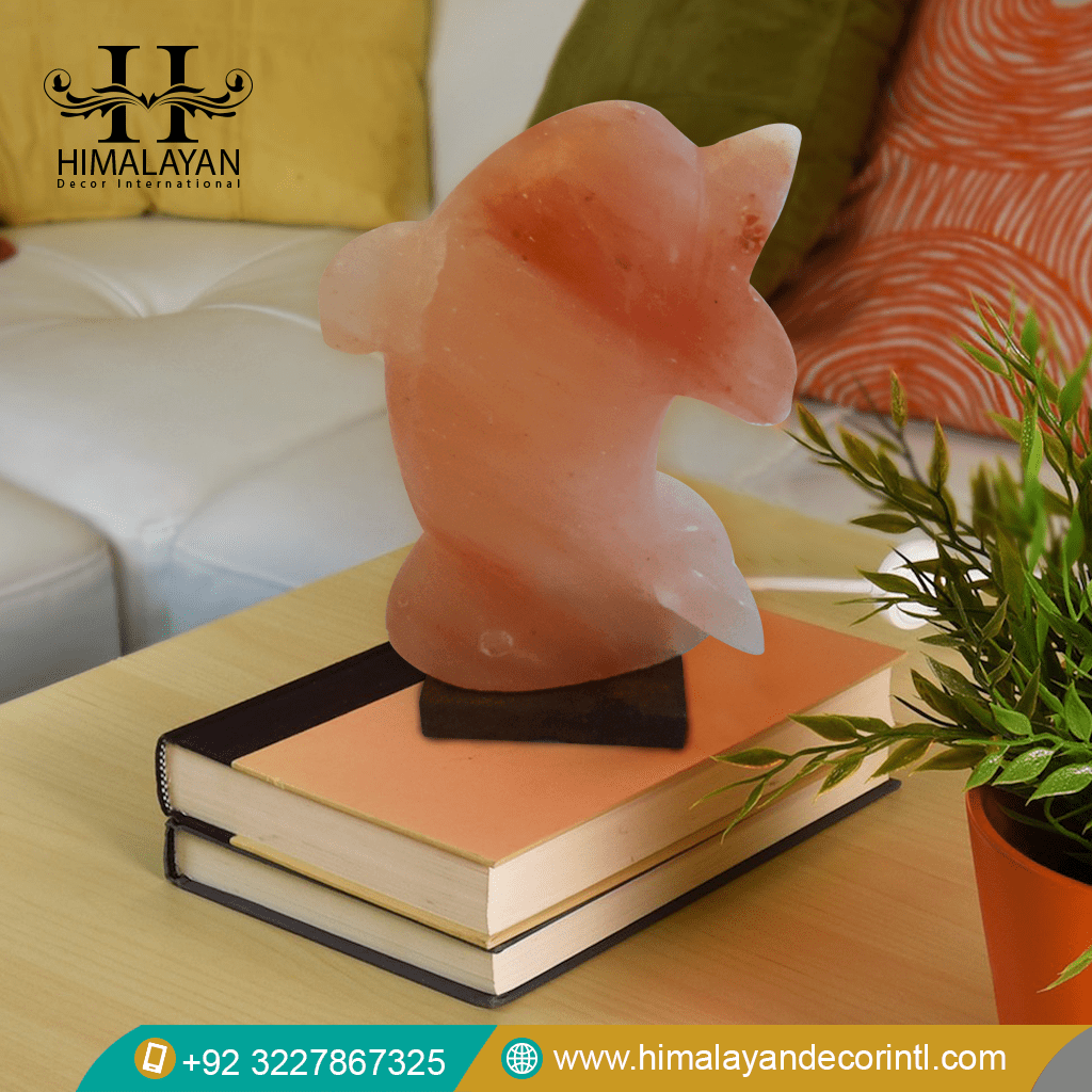 Himalayan Crystal Salt Lamp Dolphin Shape with It's Accessories