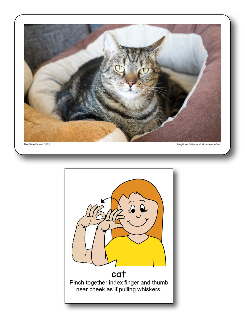 Friendly Cats
