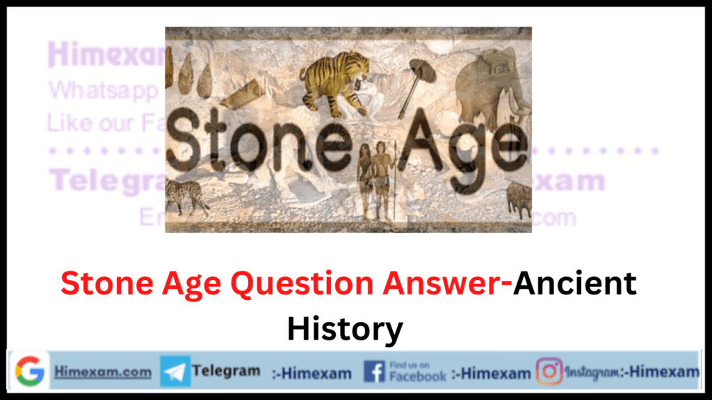 Stone Age Question AnswerAncient History