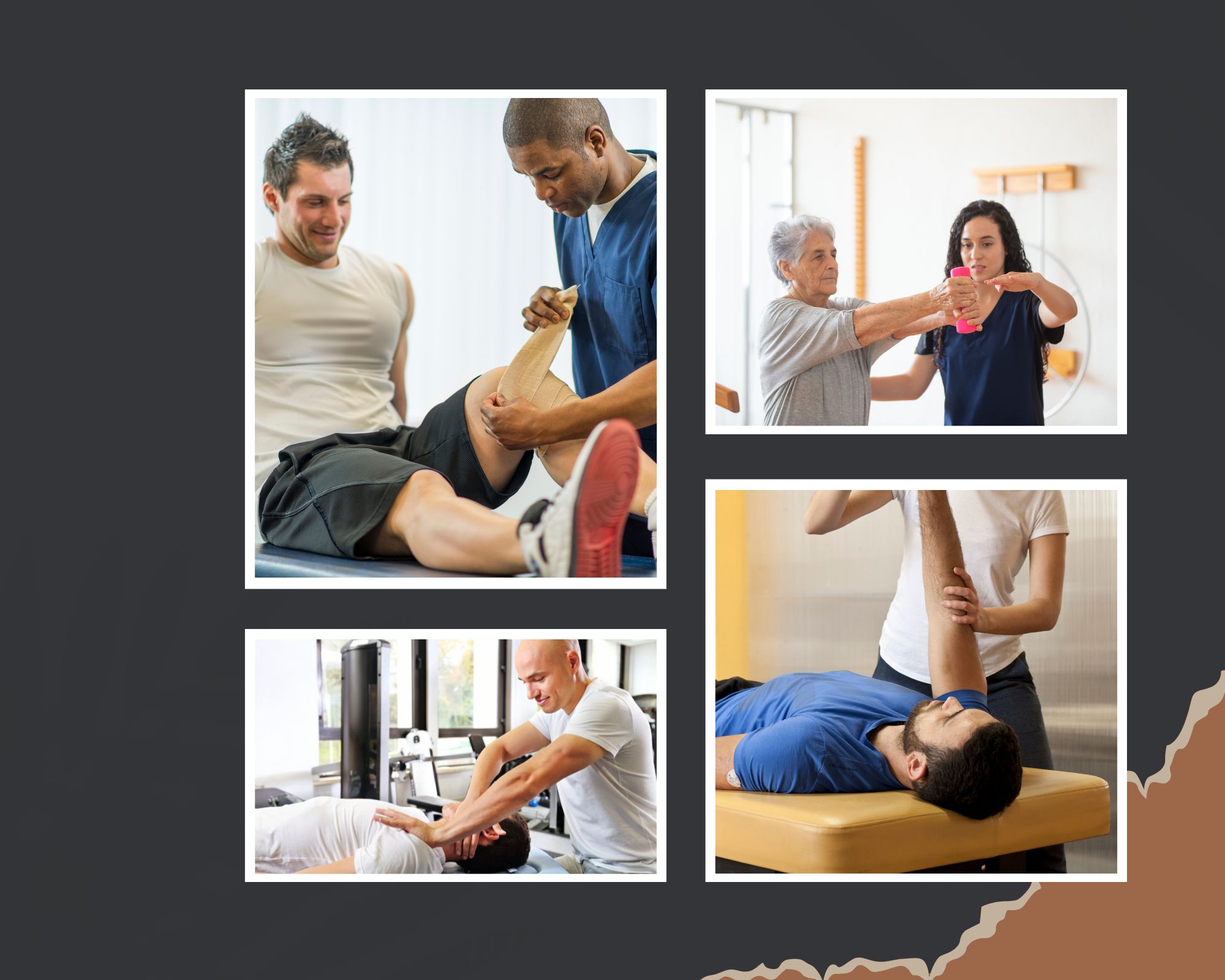 Doctor of Physical Therapy (DPT) HIMS
