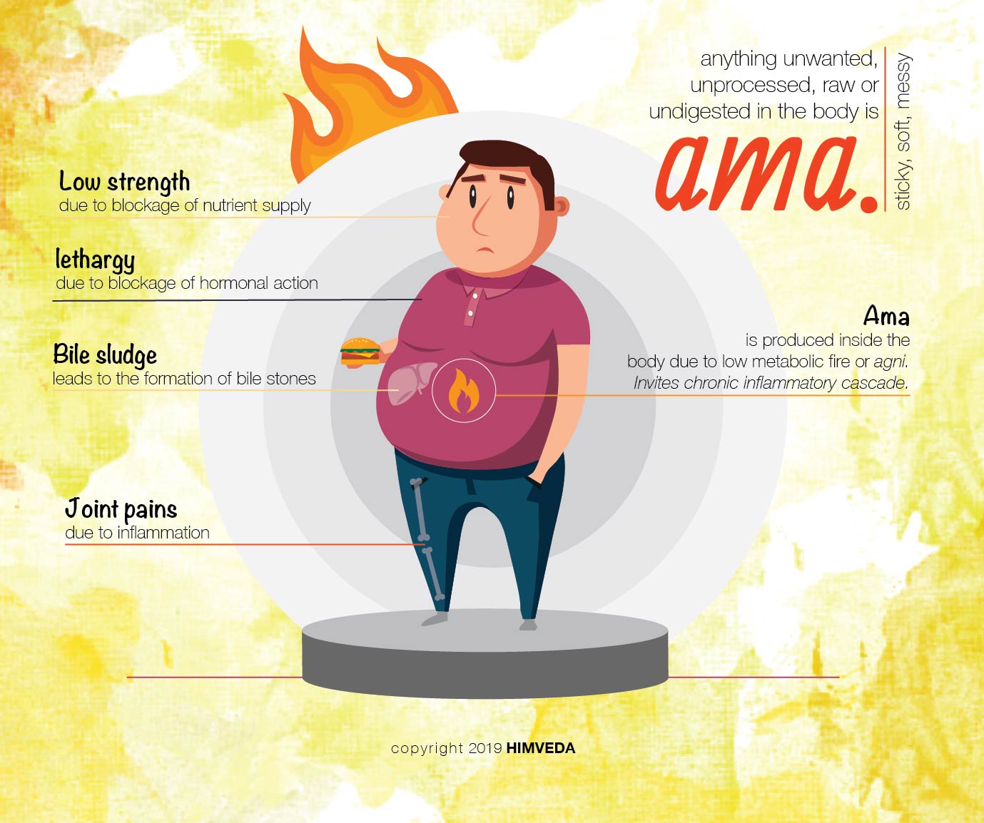 Ayurveda Dharamshala Himveda Understanding Ama