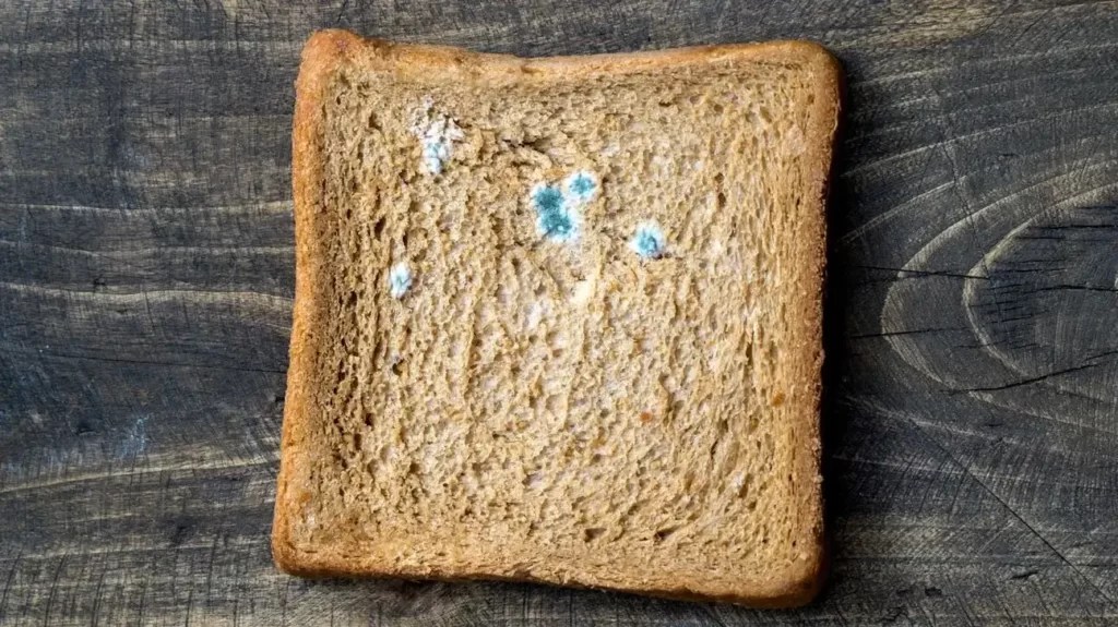 Stop Mold [Now] How To Keep Bread From Molding