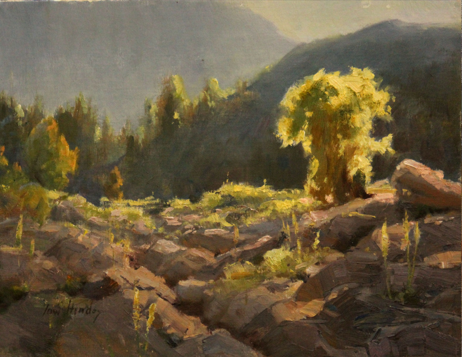 Hindes Fine Art Gallery and Art School San Antonio