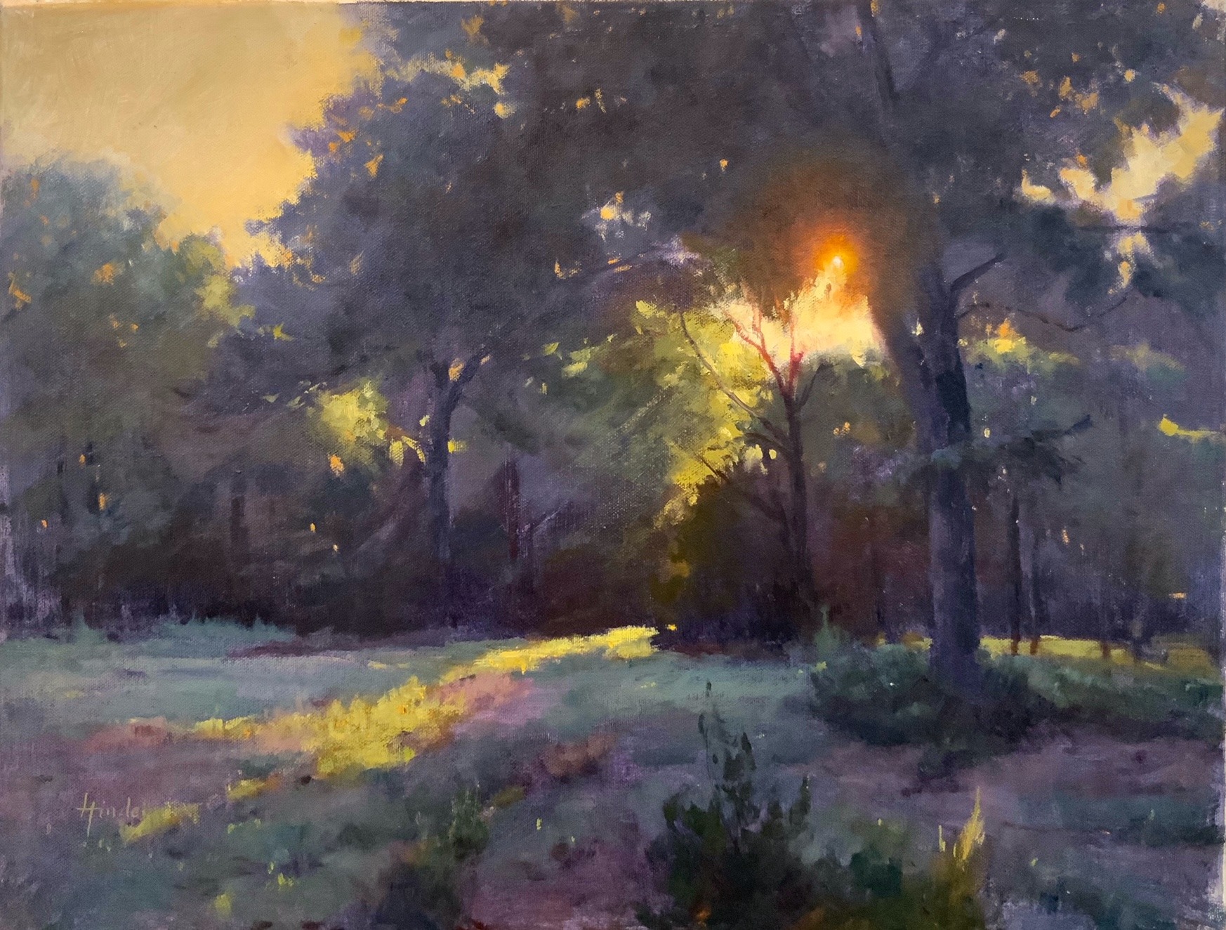 Janice Yow Hindes artist at Hindes Fine Art School San Antonio