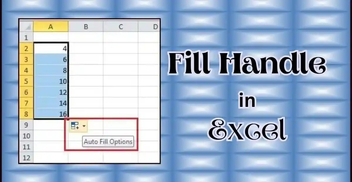 Fill Handle In Excel Hindireadings