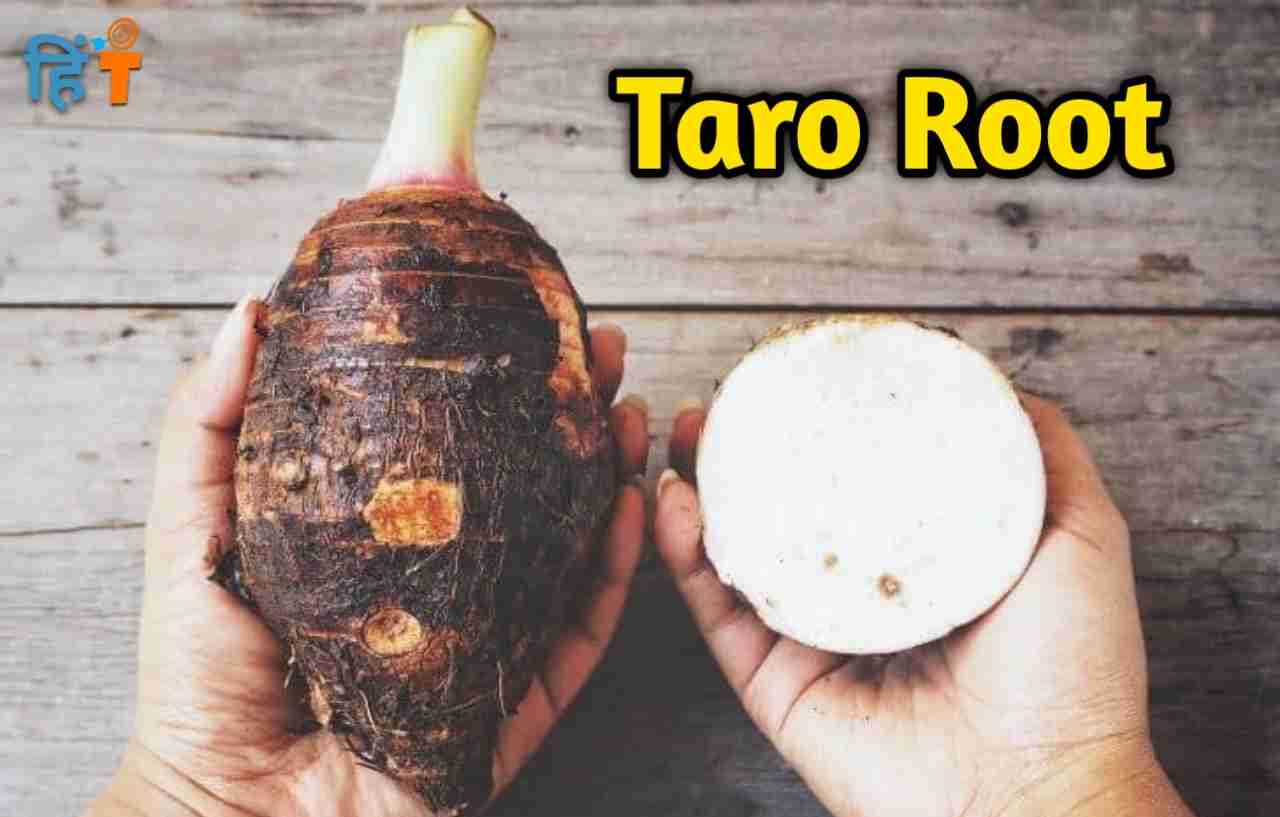 टैरो रुट क्या है(what is Taro Root in hindi)