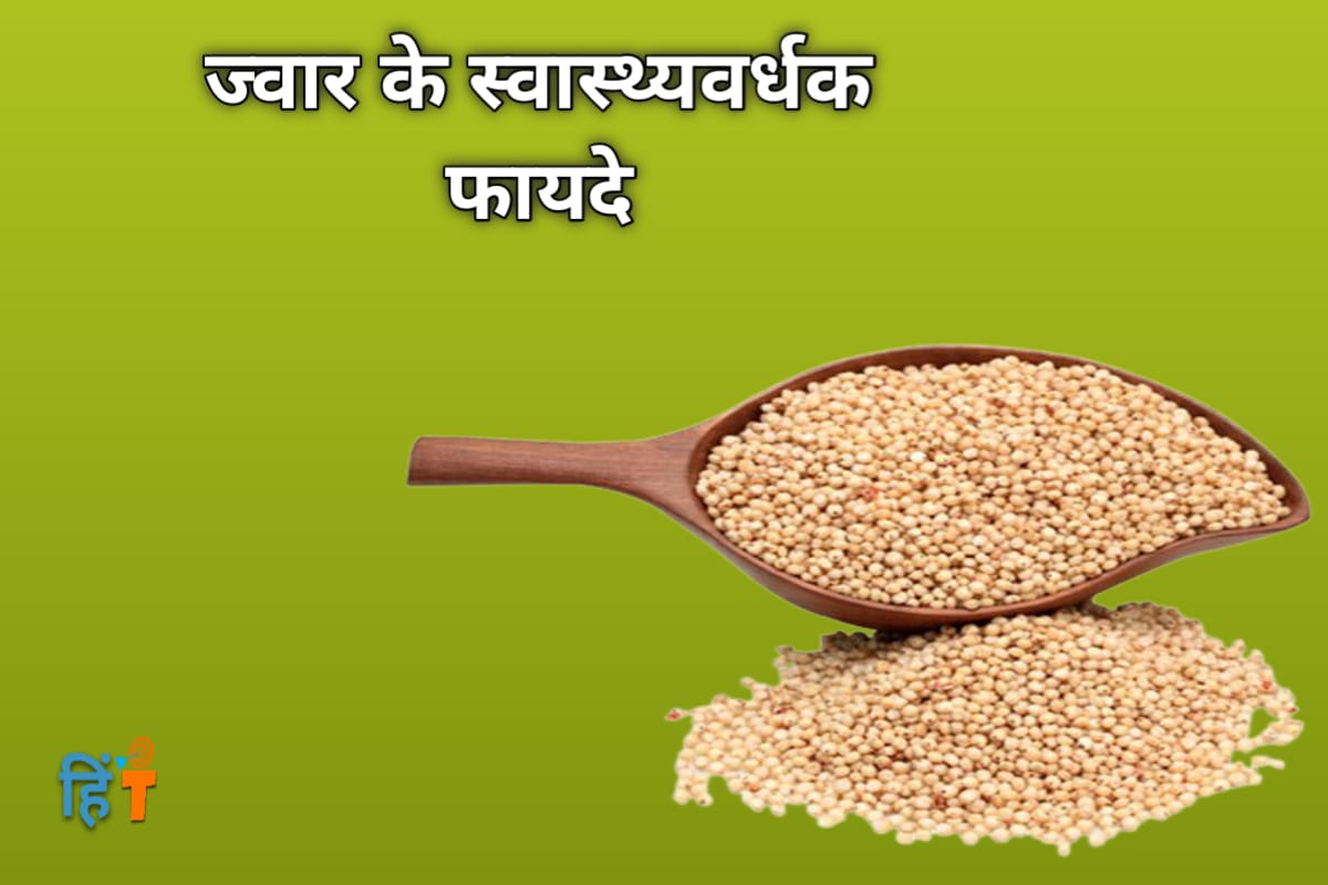 ज्वार के स्वास्थ्यवर्धक फायदे Health Benefits Jowar in hindi