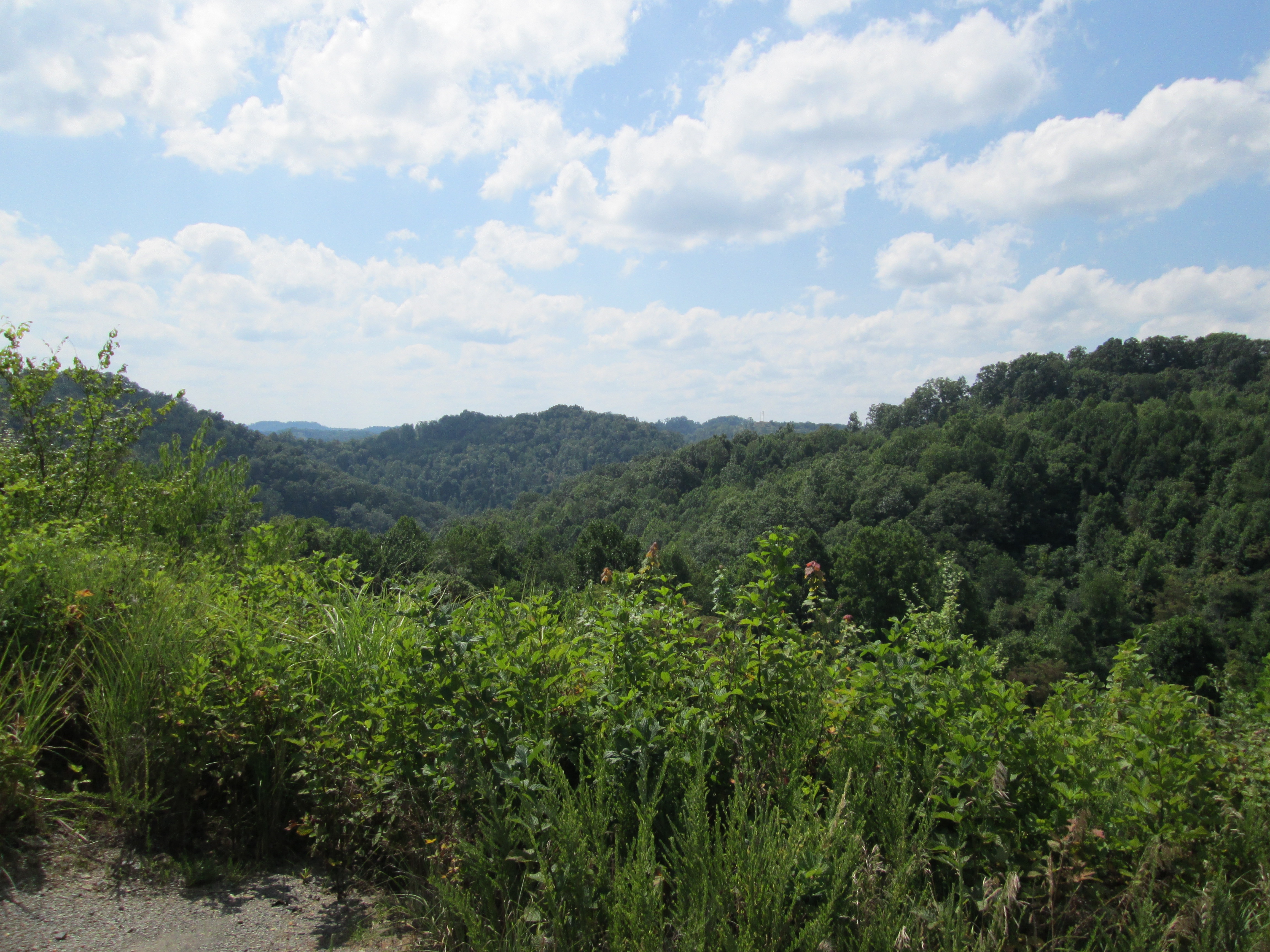 image Hindman Land Auction Co.