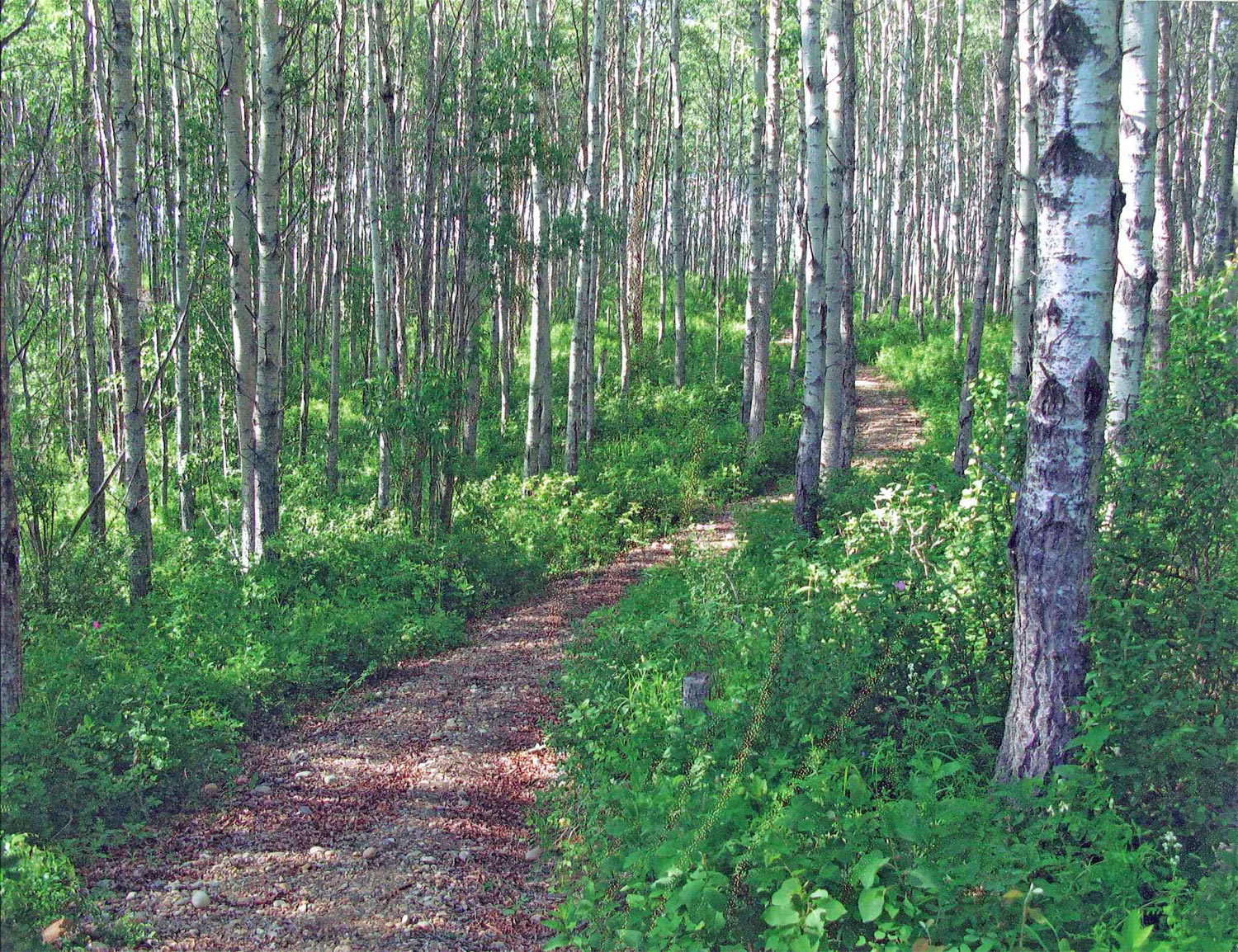 trail Village of Hines Creek