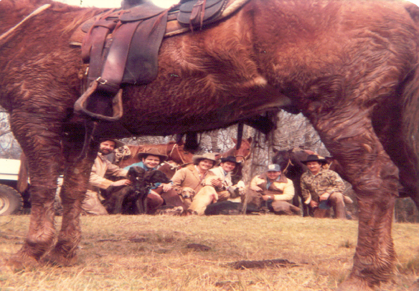 Hog Hunt The Hineston Chronicles