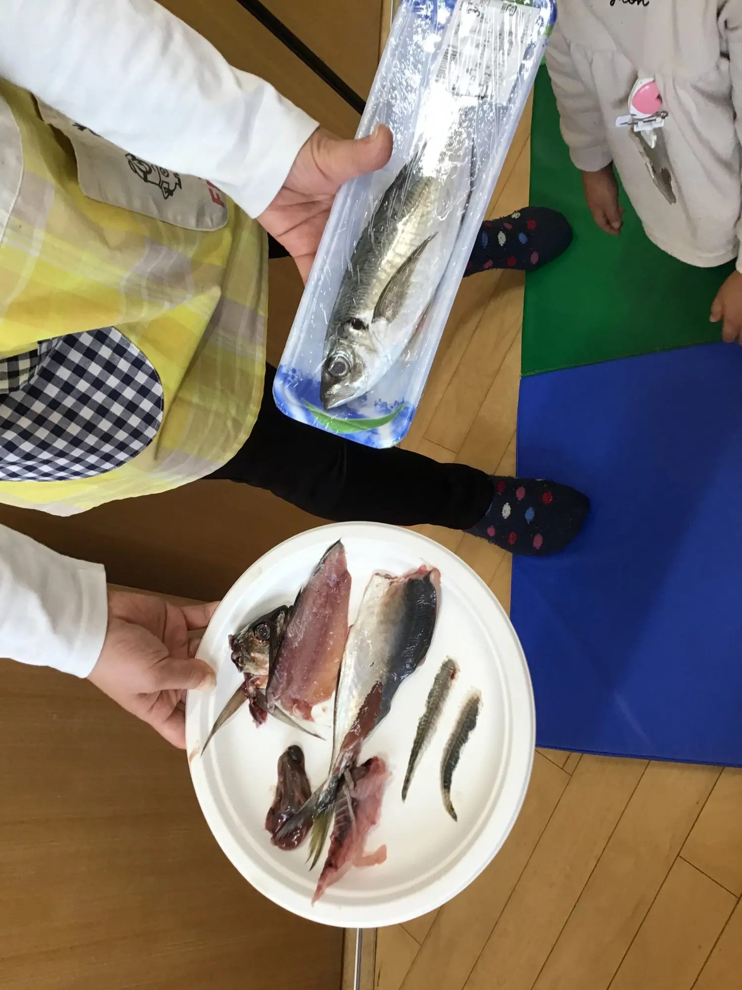 🐟魚（アジ）の解体ショー🐟 日の出医療福祉グループ