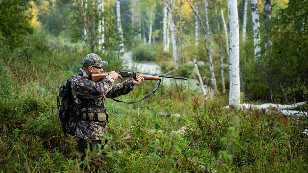 Deer Hunting Tips for Beginners Hinterland Gazette