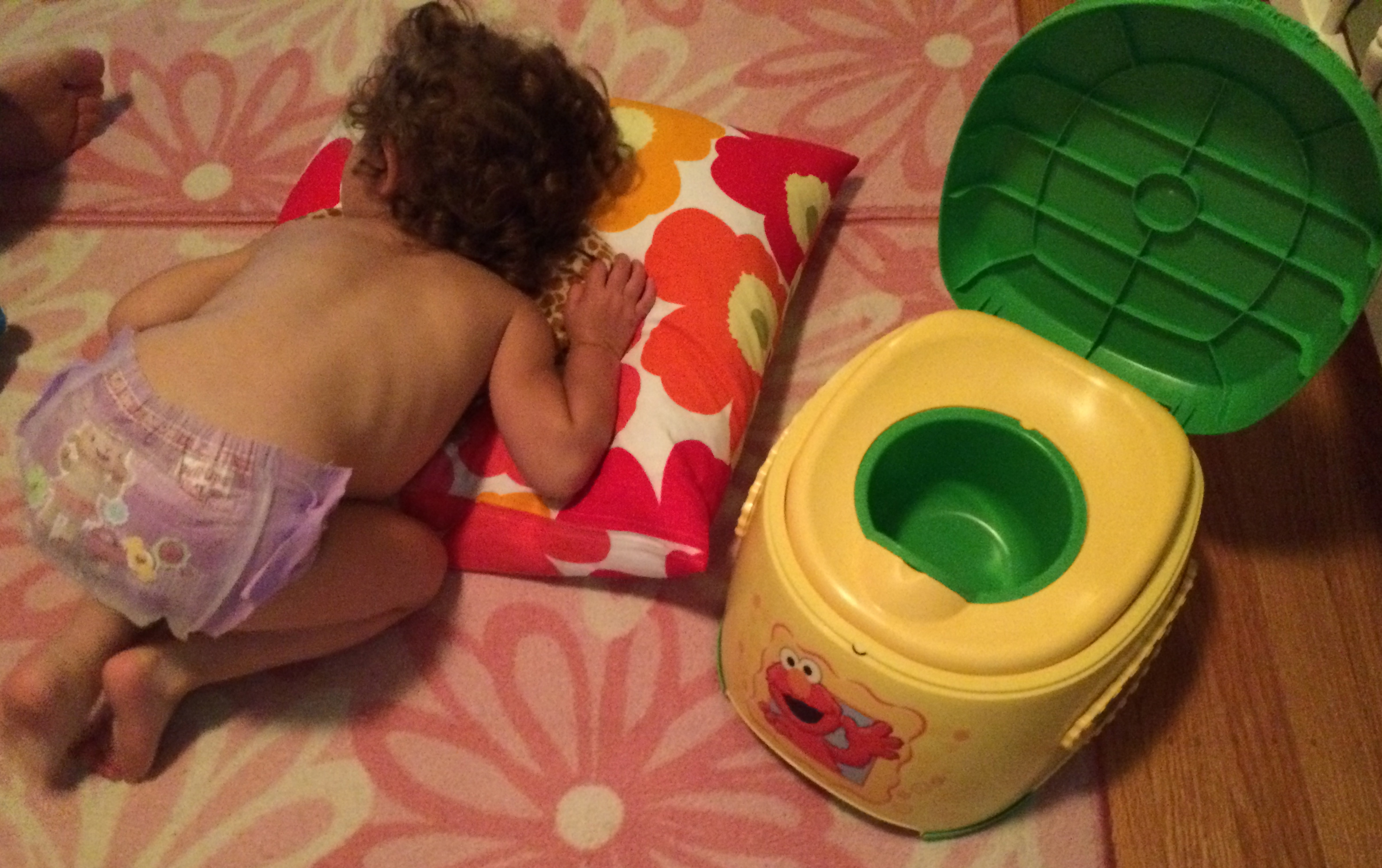 Today’s Hint The Training Potty to Get Hint Mama