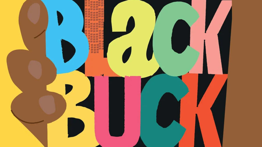 Book Review The stinging reality of Black Buck Hint of Library