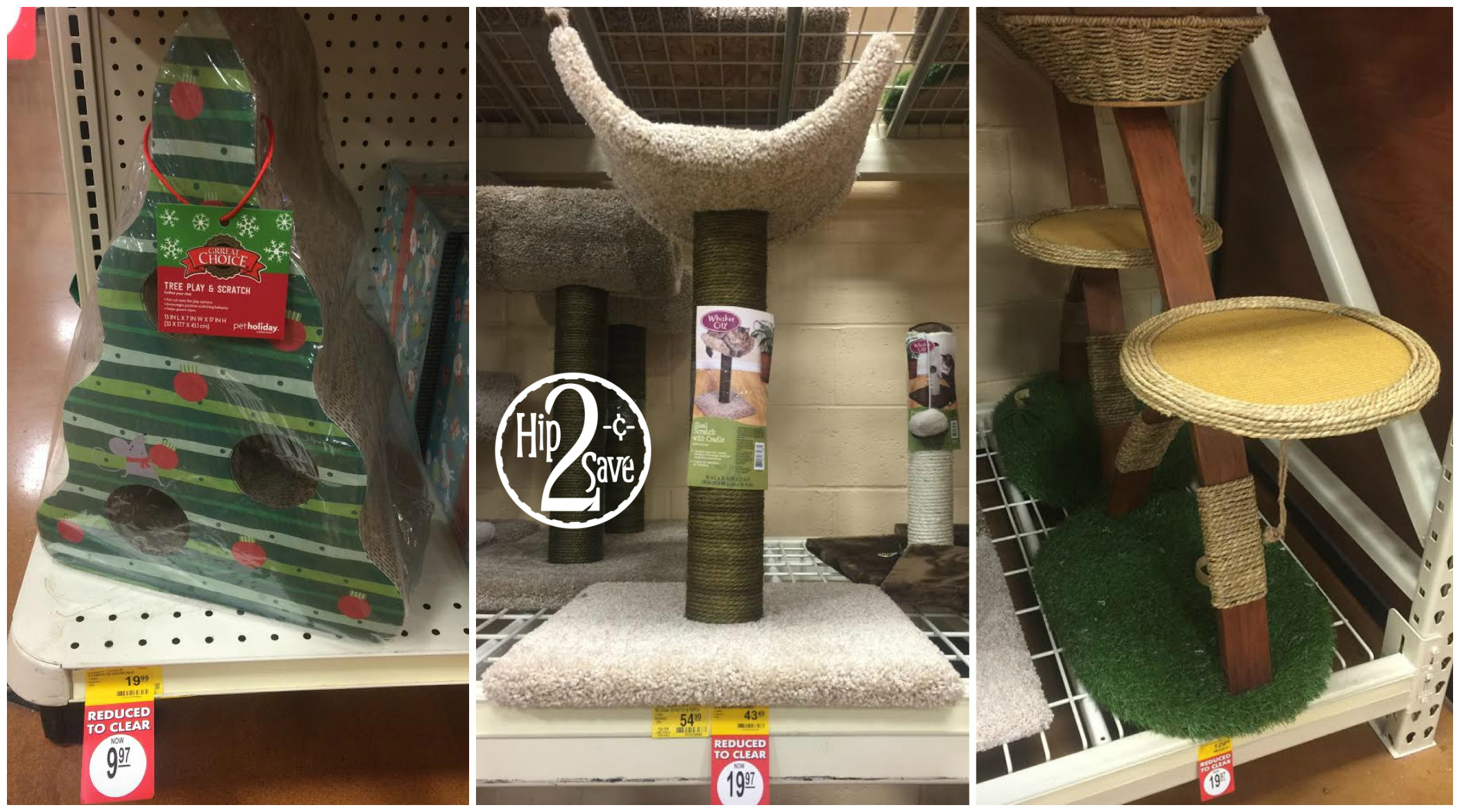 PetSmart Huge InStore Clearance Event on Cat Toys, Beds & More