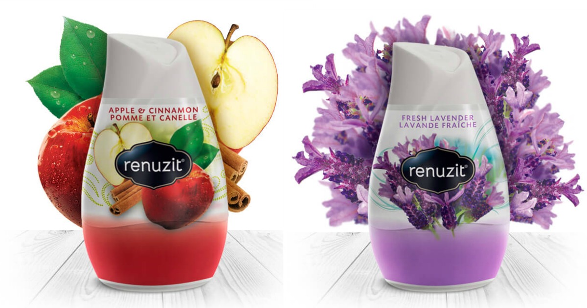 *NEW* Buy 4 Renuzit Air Freshener Cones Get 2 FREE Coupon = Only 59¢ at