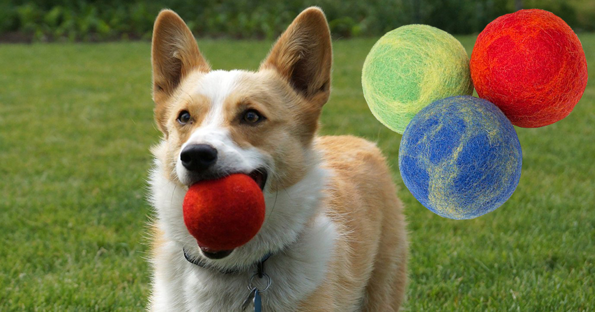 Amazon 3 Wool Fetch Balls For Dogs Only 8.95