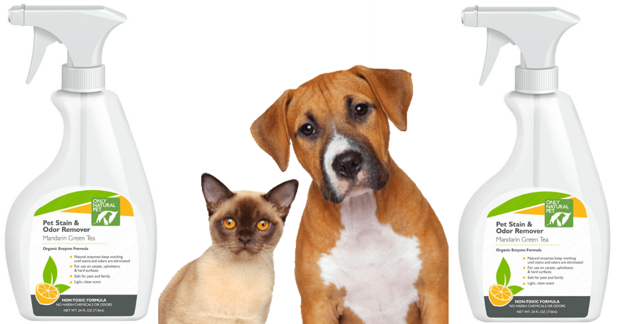 Only Natural Pet Stain & Odor Remover Only 4.99 Shipped (Regularly 9.99)