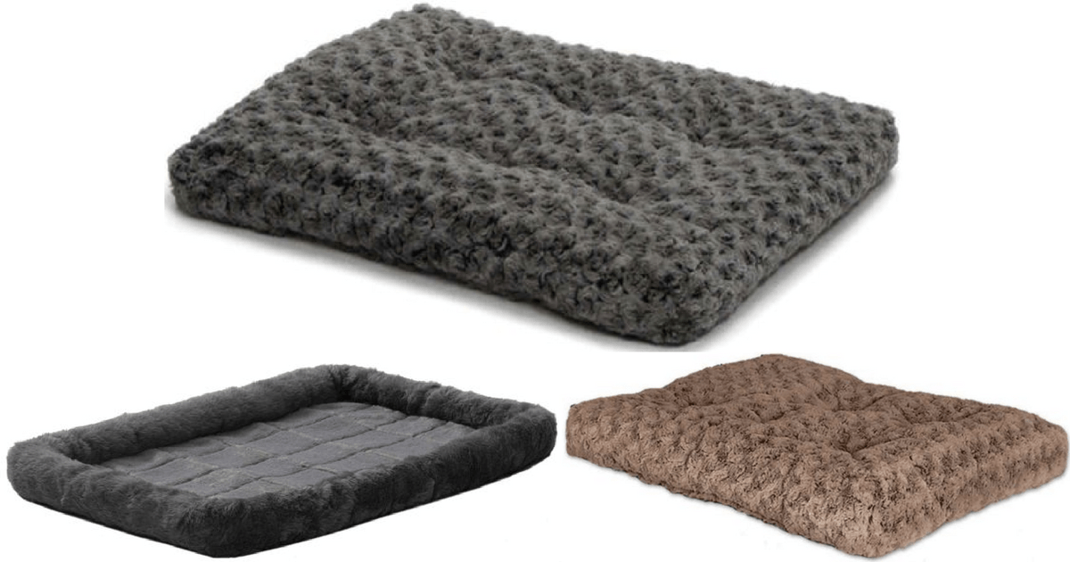 PetSmart 60 Off + Free Shipping = Pet Beds Only 4.05 Shipped