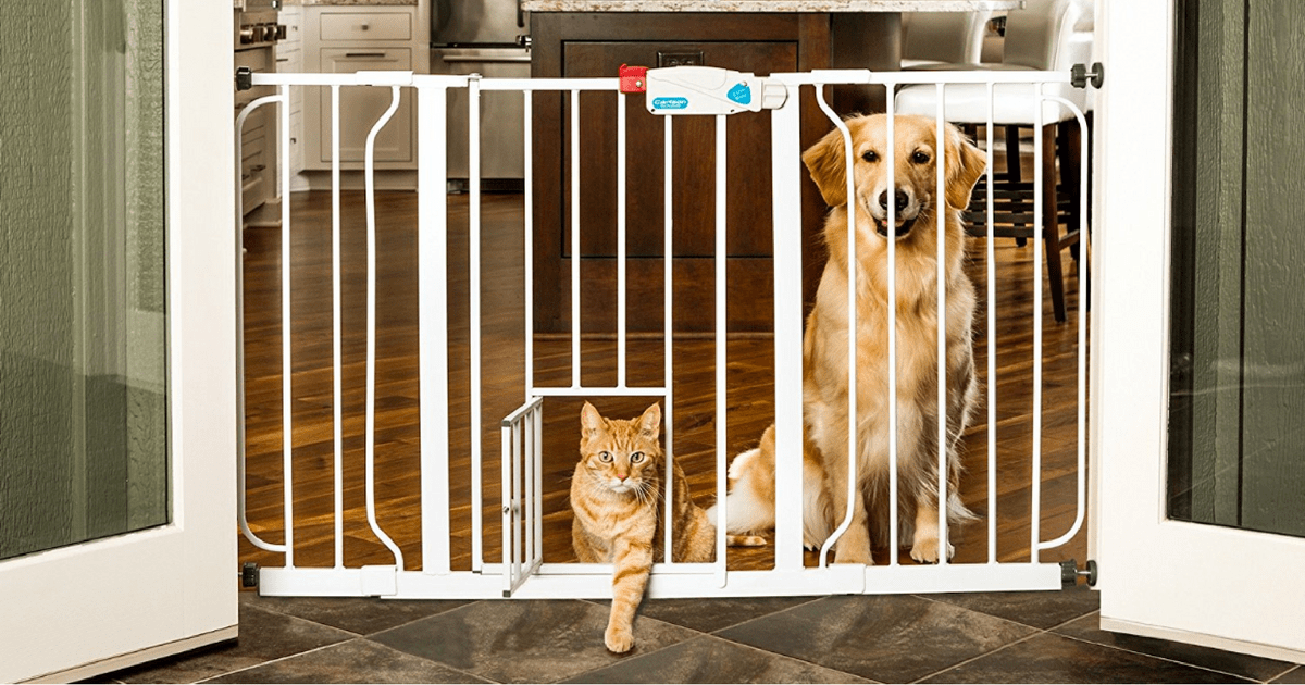 Petco Free Shipping on All Orders = 44" Pet Gate Only 36.99 Shipped
