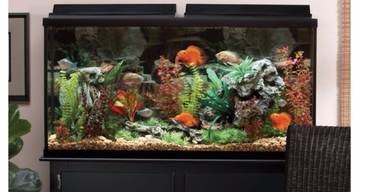 PetSmart Marineland 60 Gallon Aquarium w/ Stand Only 179.99