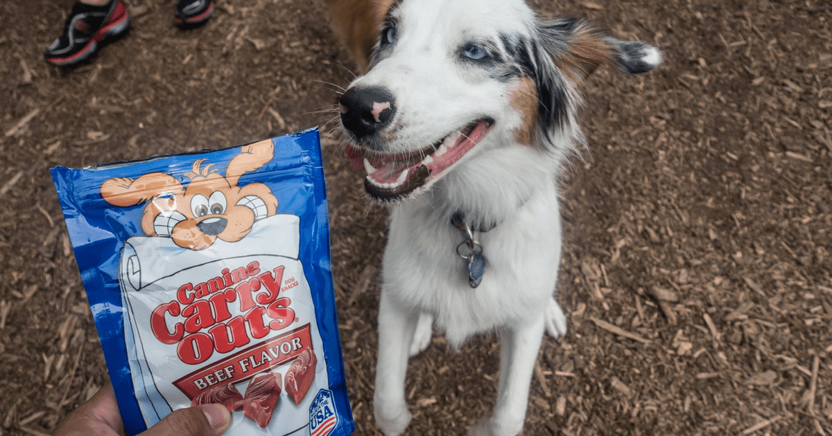 Amazon Canine Carry Outs Dog Treats 50Ounce Bag Only 4.30 Shipped