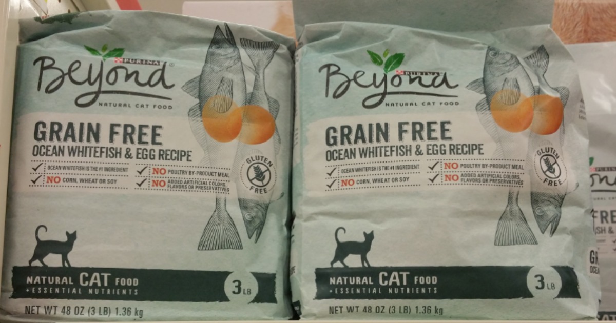 Target Purina Beyond Dry Cat Food 3Pound Bag Only 2.19 (Regularly