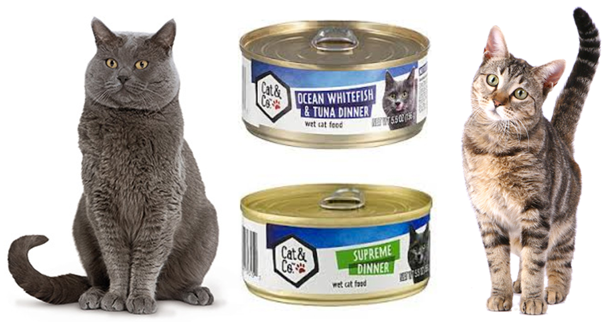 Kmart FREE Cat & Co Cat Food Mobile App Coupon (Must Load Today)