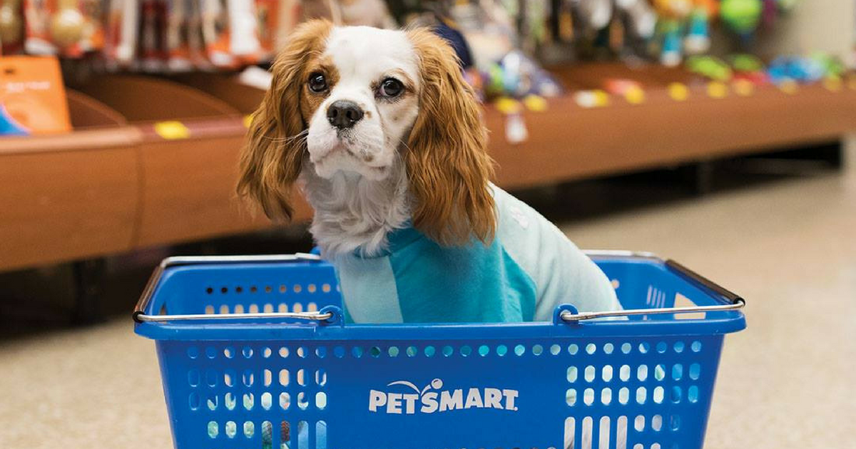 Does Petsmart Sell Dog Ice Cream