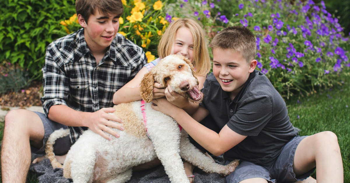 Your Pets will LOVE these Petco Coupons (20 Off Dog Food, Free Cat