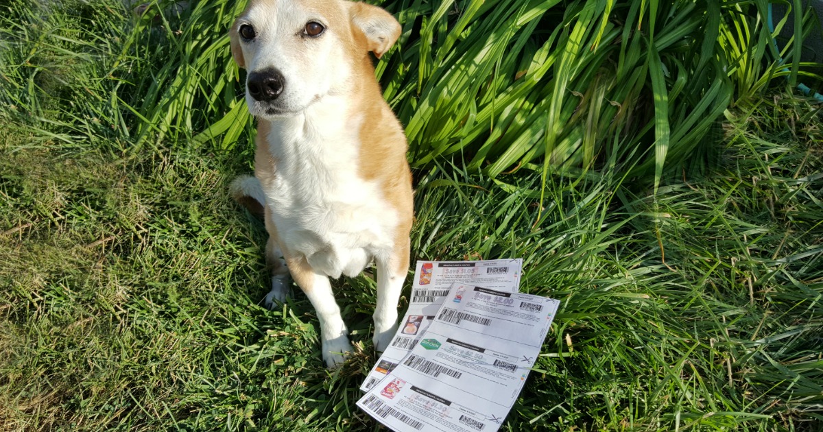 Top 6 Pet Food Coupons to Print NOW (Save BIG on Purina Dog & Cat Food + More)