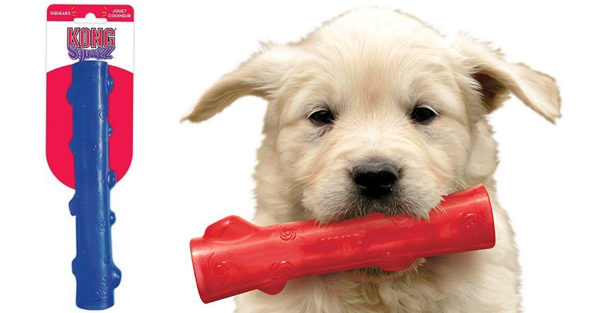 Large KONG Squeezz Stick Dog Toy Only 4.39 (Regularly 14) Ships w