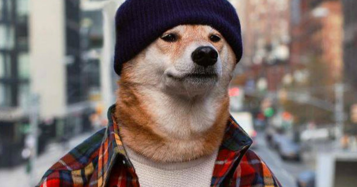 L.L. Bean Updates Satisfaction Guarantee + 15 Companies That Offer