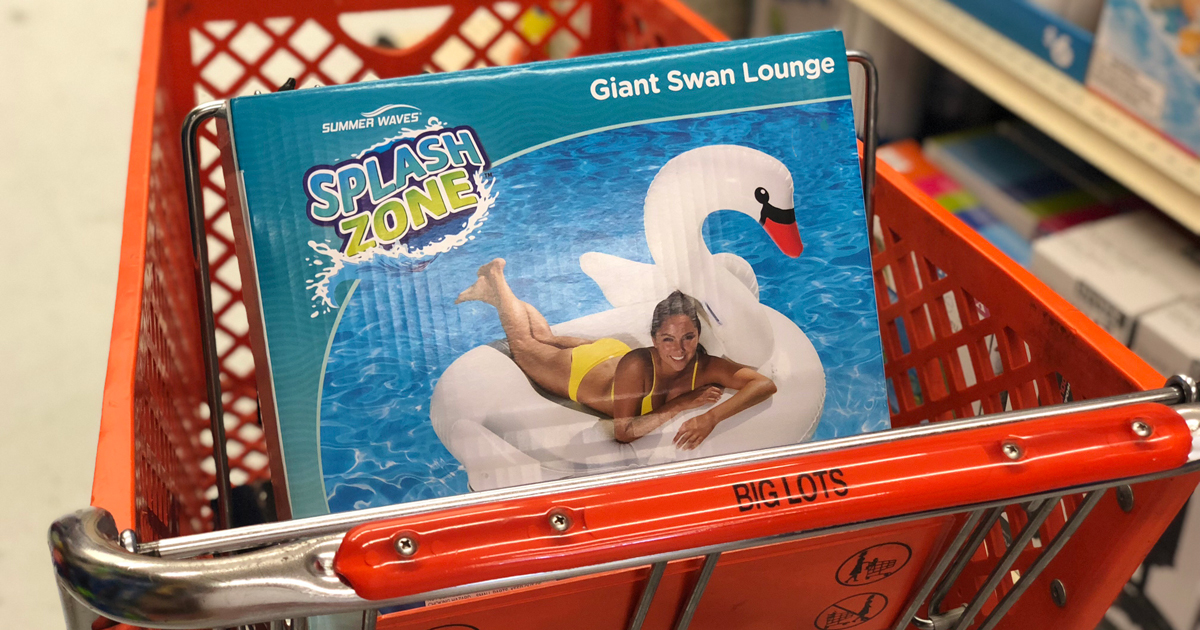 Big Lots Clearance Sale = HUGE Savings on Pool Floats, Throw Pillows