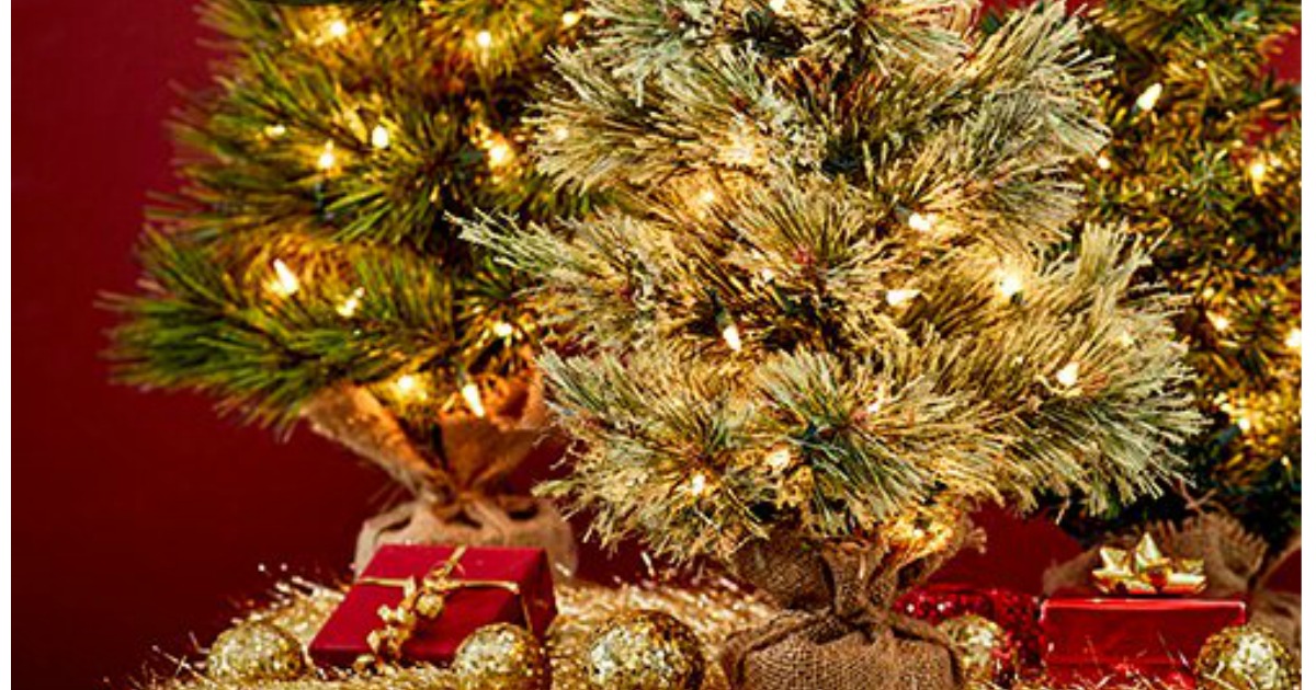 Set of Three Lighted 24" Artificial Pine Trees Only 34.79 on Zulily