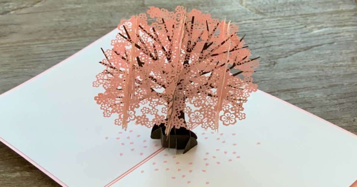 Lovepop 3D Cherry Blossom Pop Up Card Just 13 on Amazon (Highly Rated)