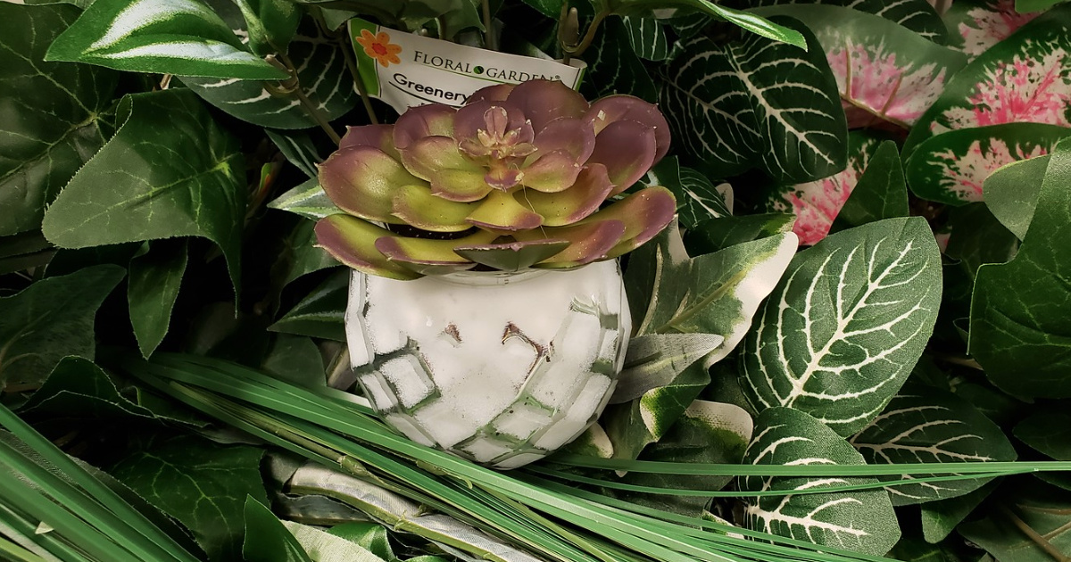 Colorful Faux Succulents Only 1 at Dollar Tree