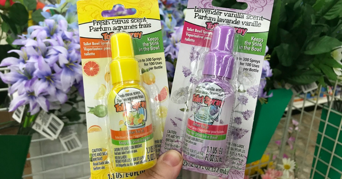 Toilet Bowl Spray Only 1 at Dollar Tree (Keep the Stink in the Bowl)
